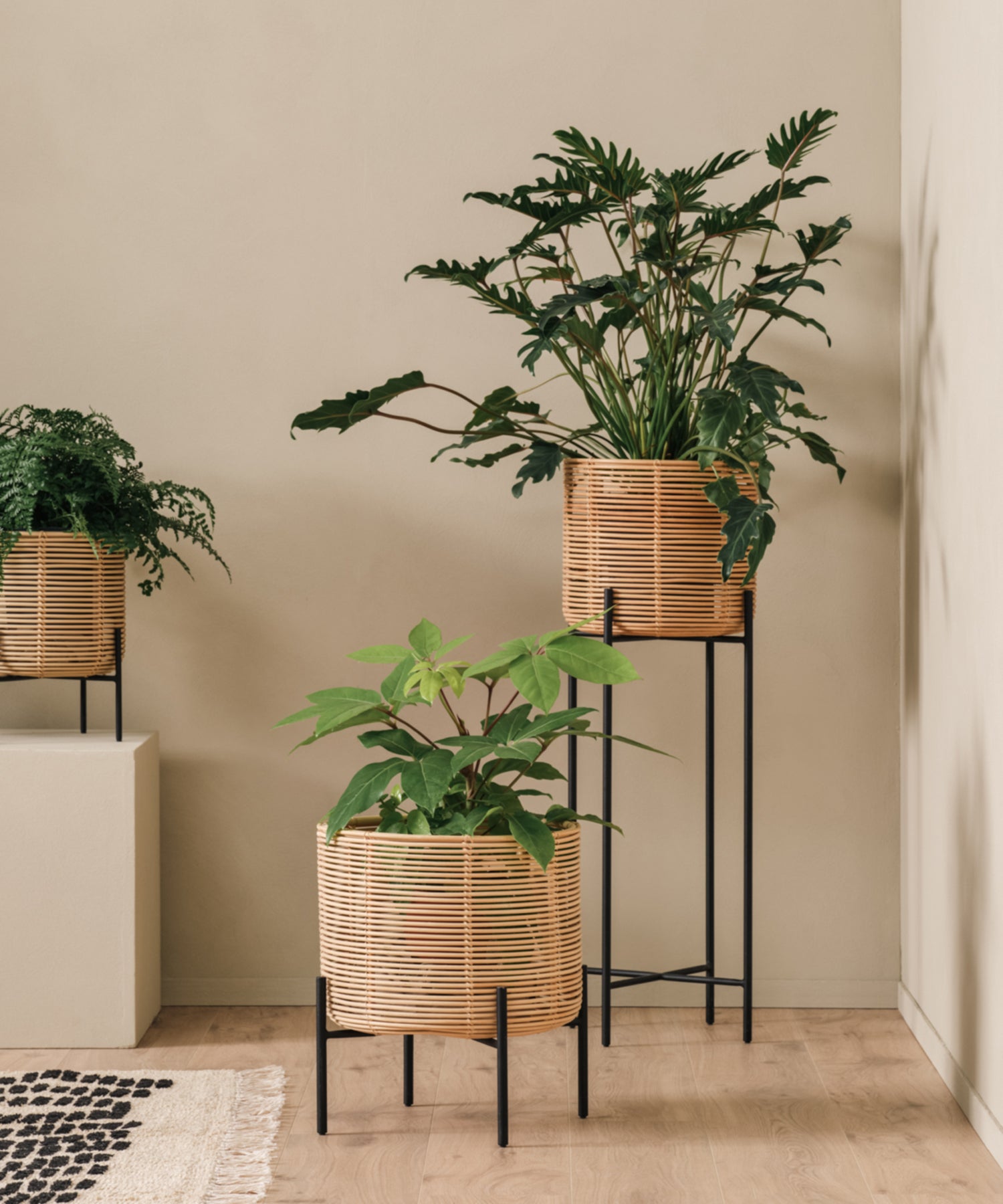 VINCENT SHEPPARD(ヴィンセント・シェパード)VIVI PLANT STAND VINCENT SHEPPARD(ヴィンセント・シェパード)VIVI PLANT STAND