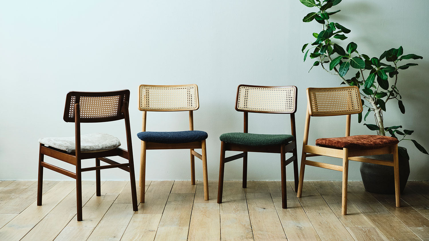 ダイニングは椅子で個性を！ ecruxe 「BELTA CHAIR」・「CARINA CHAIR