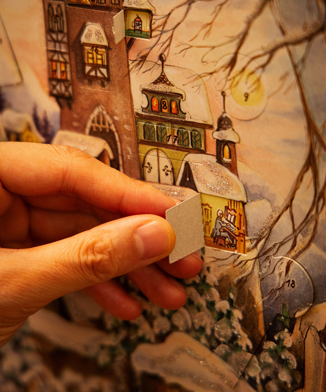 TIMELESS COMFORT SELECT / アドベントカレンダー 動物 - 毎日小窓を