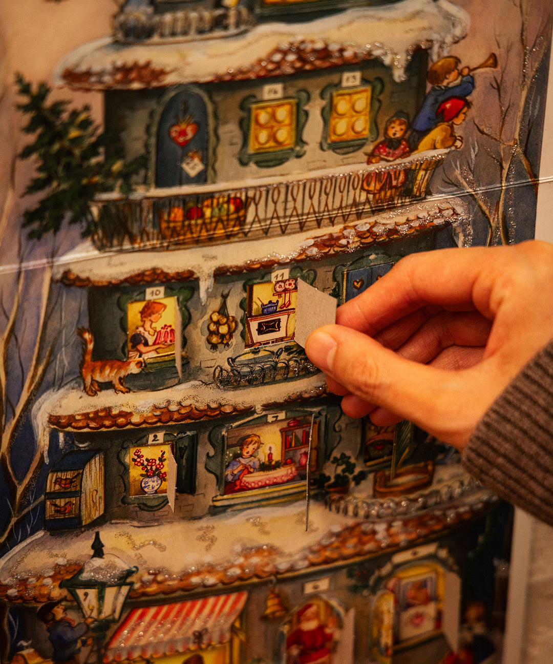 TIMELESS COMFORT SELECT / アドベントカレンダー パノラマ