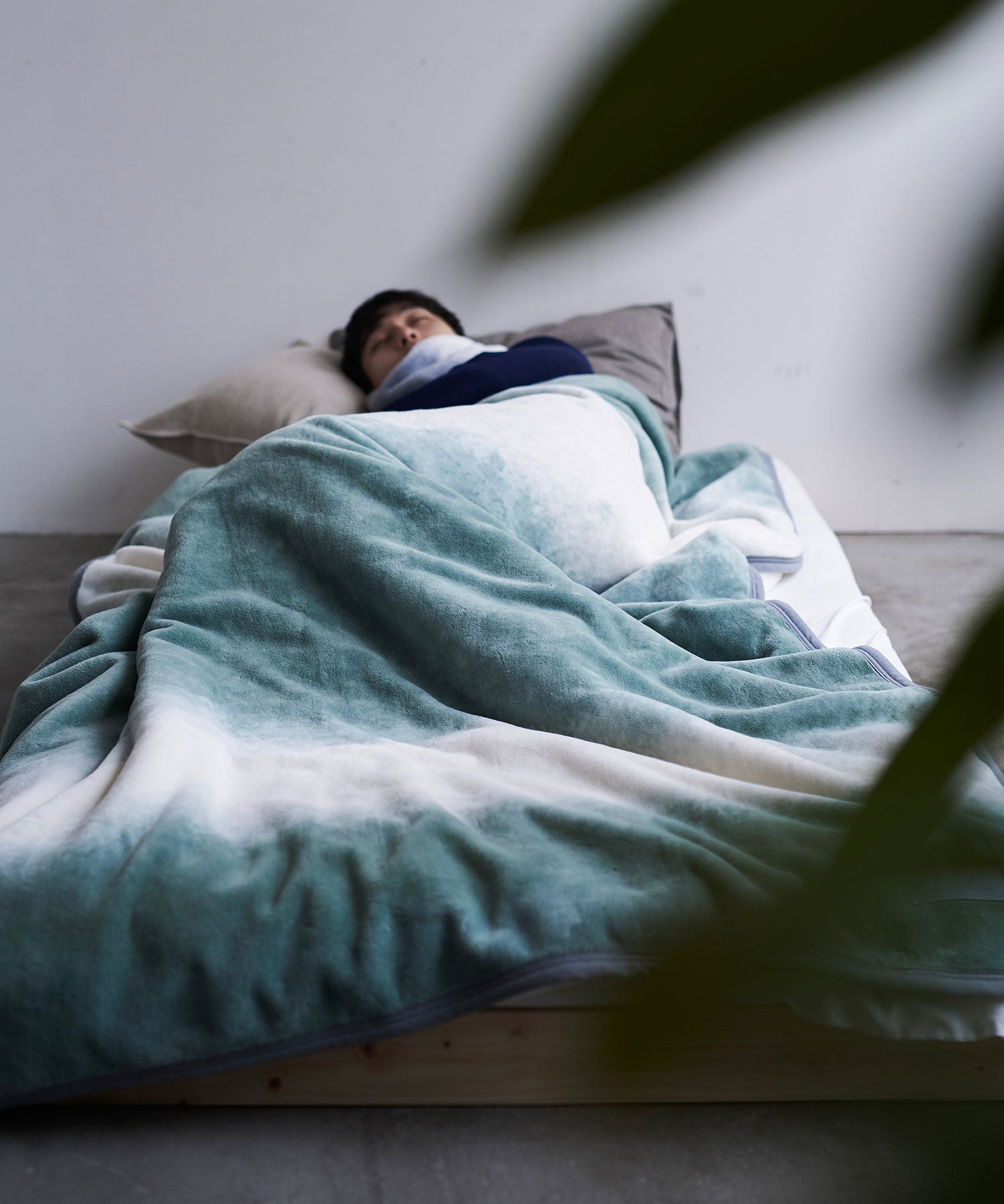 【予約・11月下旬入荷予定】FOL綿毛布 シングル