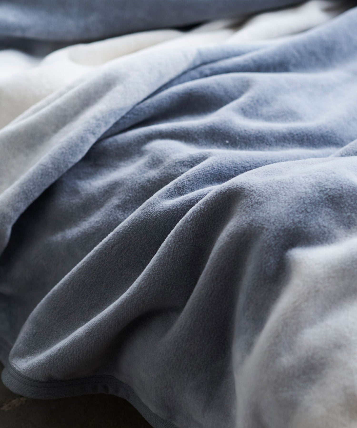 【予約・11月下旬入荷予定】FOL綿毛布 シングル