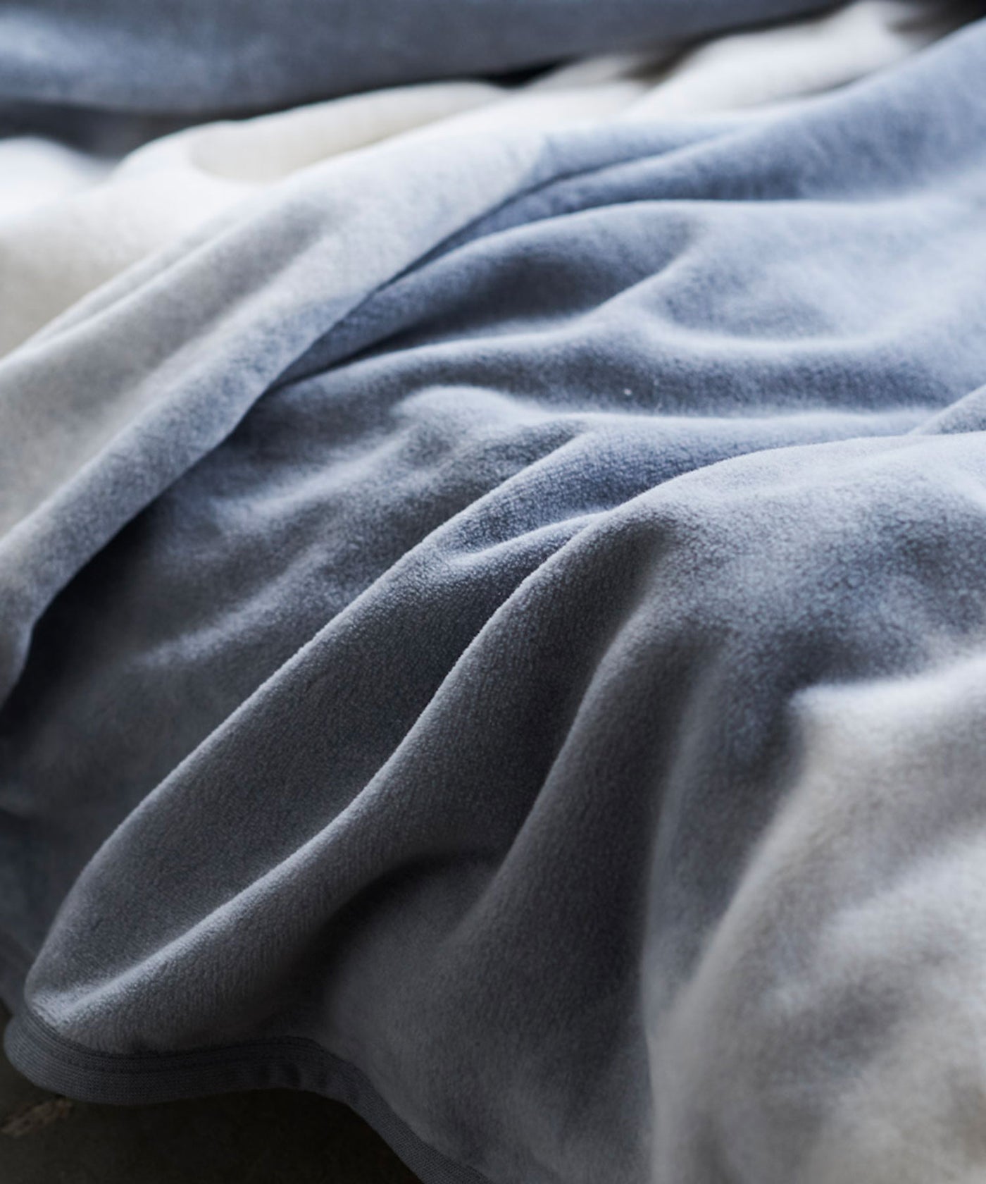 【予約・11月下旬入荷予定】FOL綿毛布 シングル