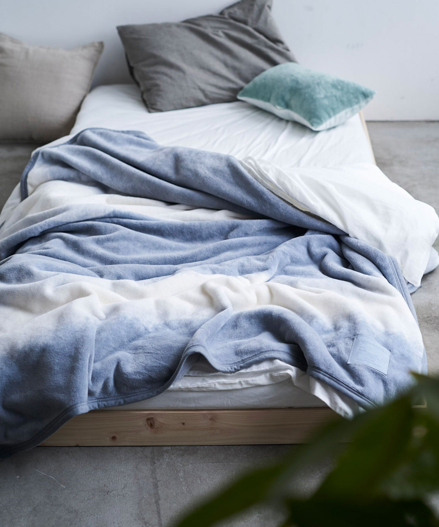 【予約・11月下旬入荷予定】FOL綿毛布 シングル