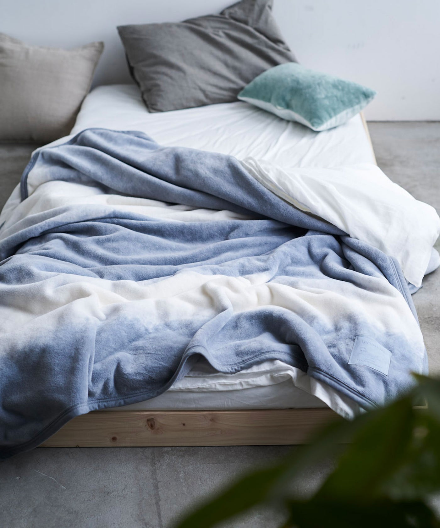 【予約・11月下旬入荷予定】FOL綿毛布 シングル