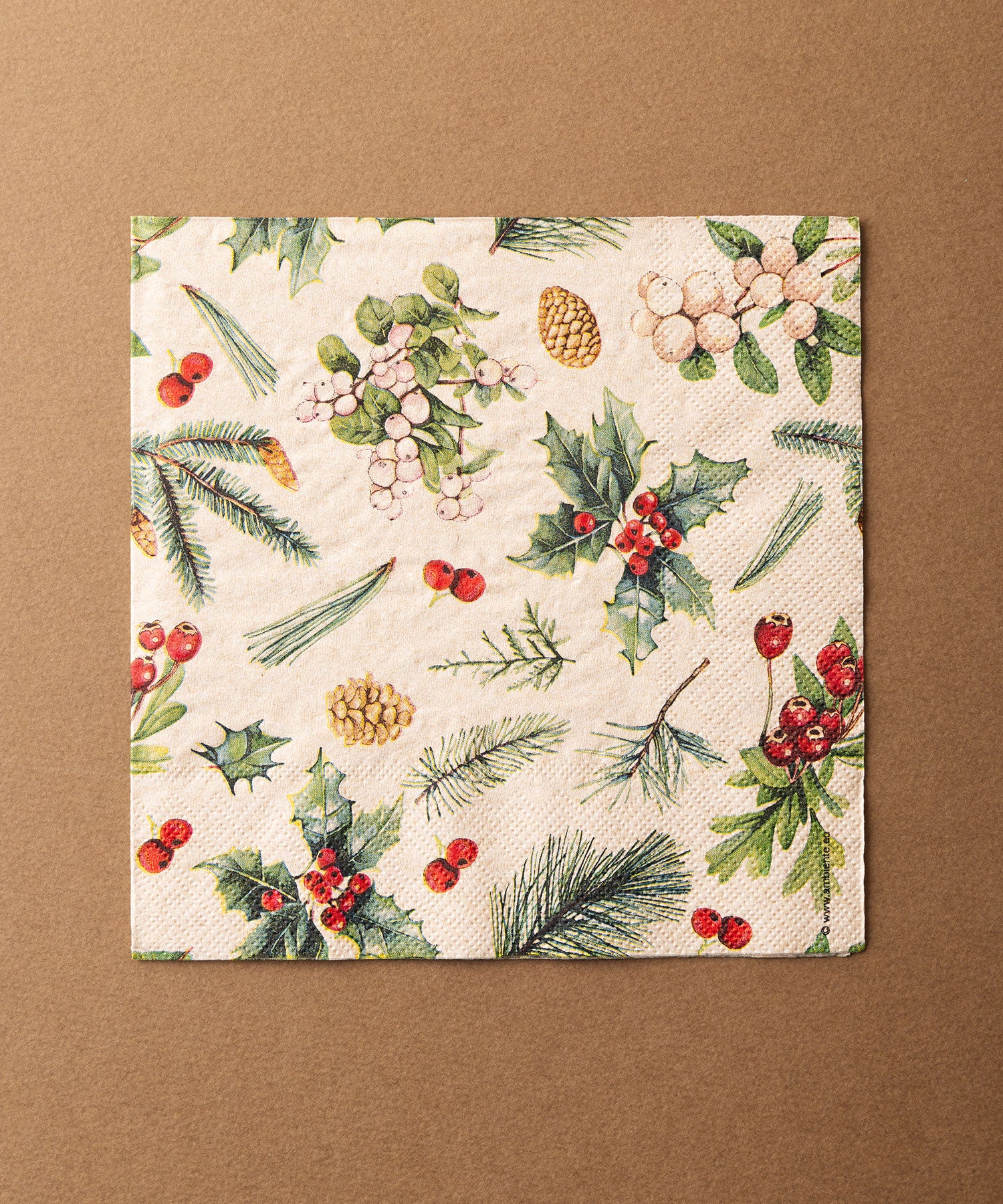 Ambiente ペーパータオル