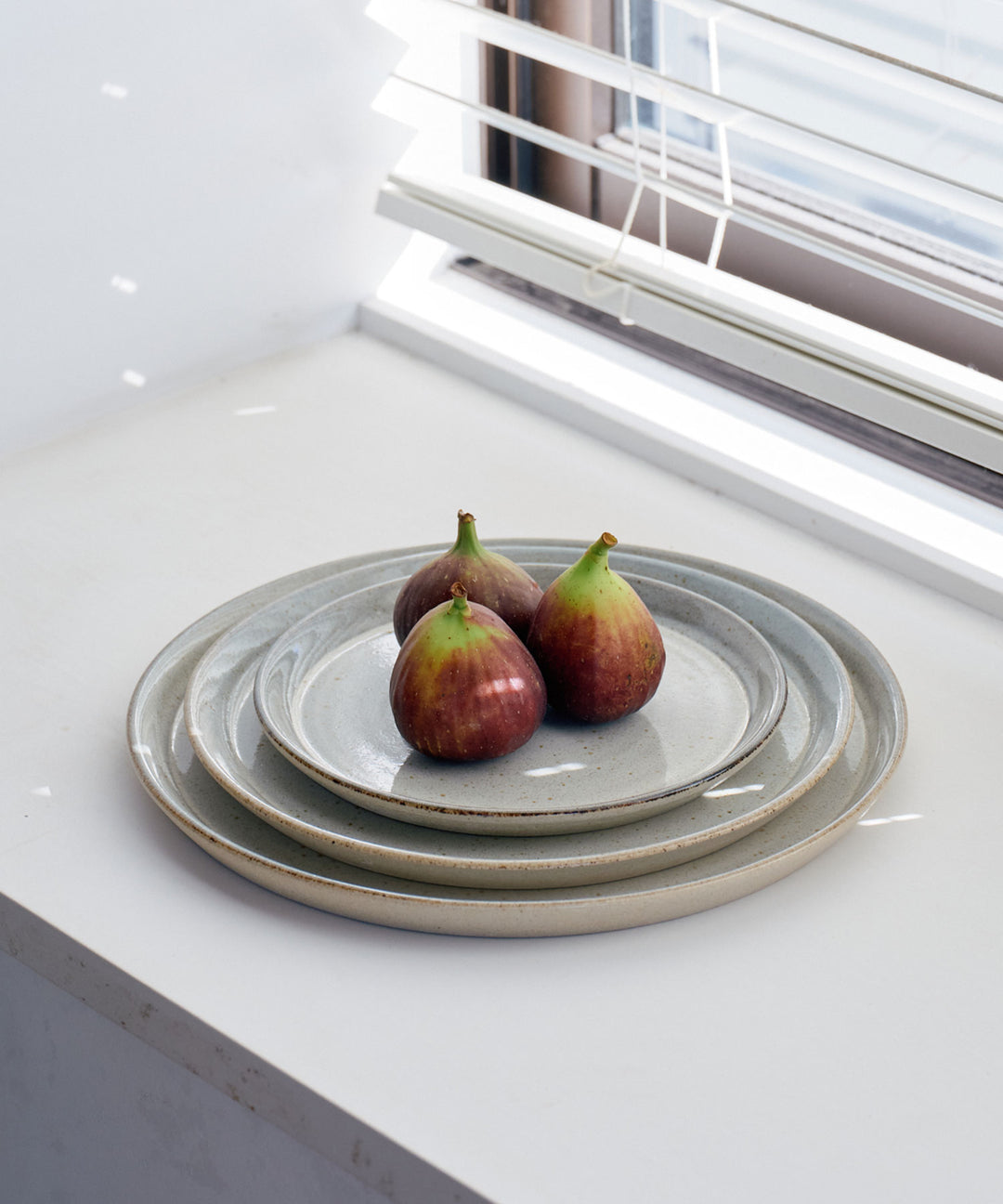 Homeland（ホームランド）信楽焼 フラットプレート – TIMELESS COMFORT