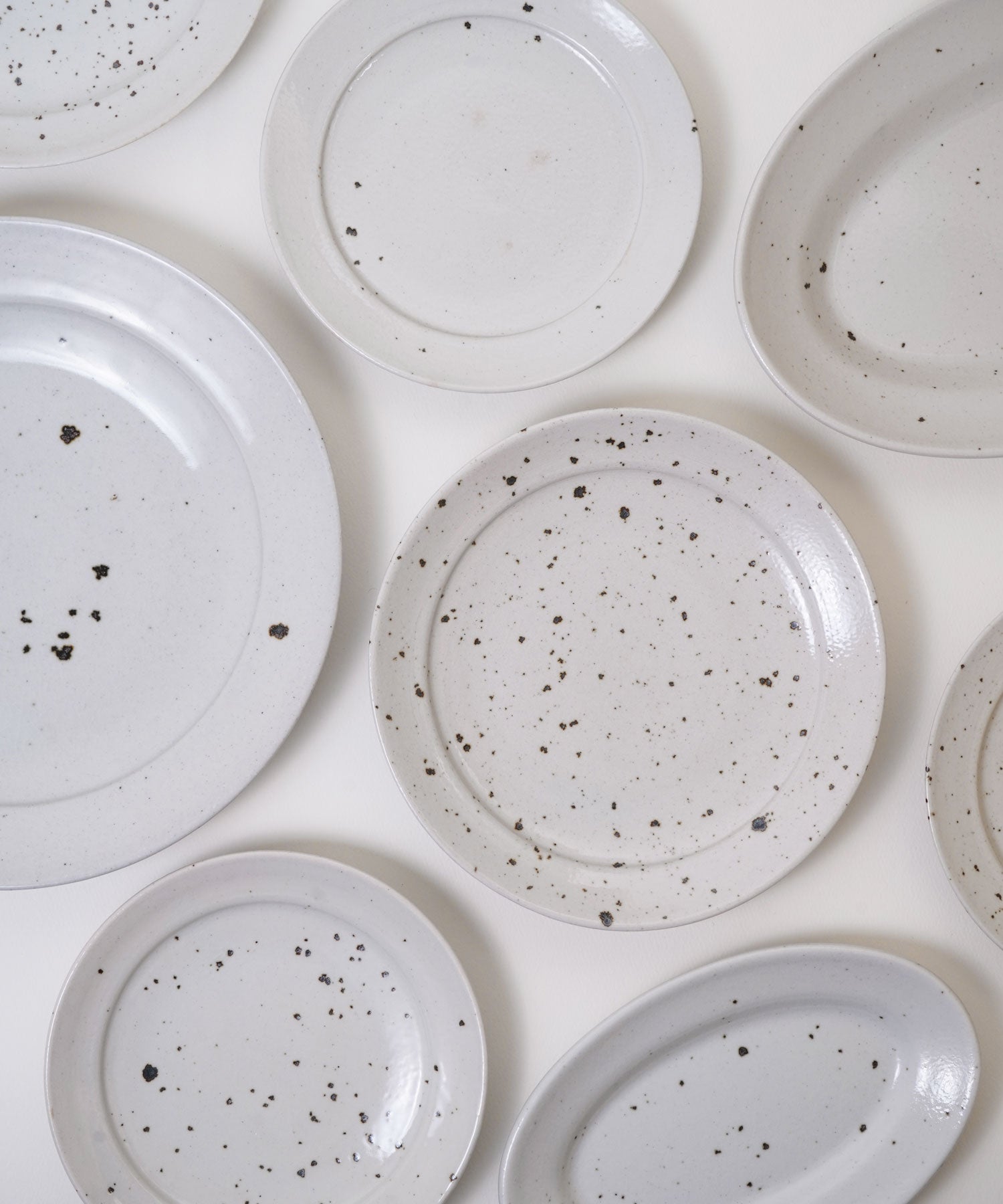 色の出方等、個体差があります。