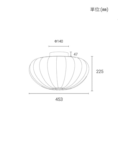 POM CEILING LAMP