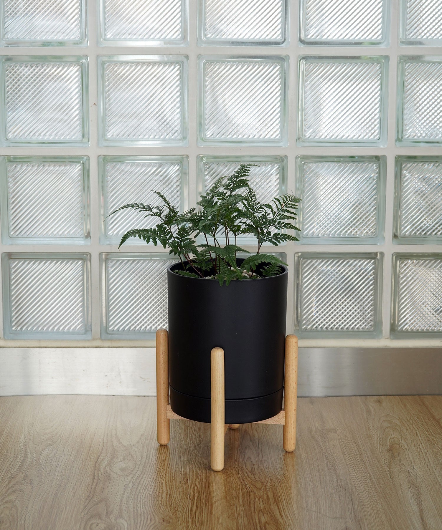 OHANA POT