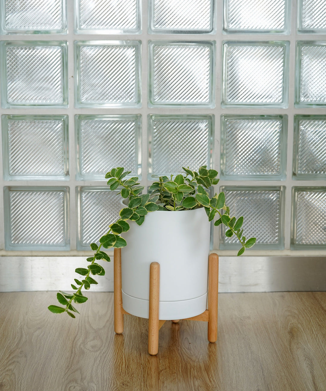 Work Plusワークプラス / オハナ ポット｜高さ調整可能でインテリアに