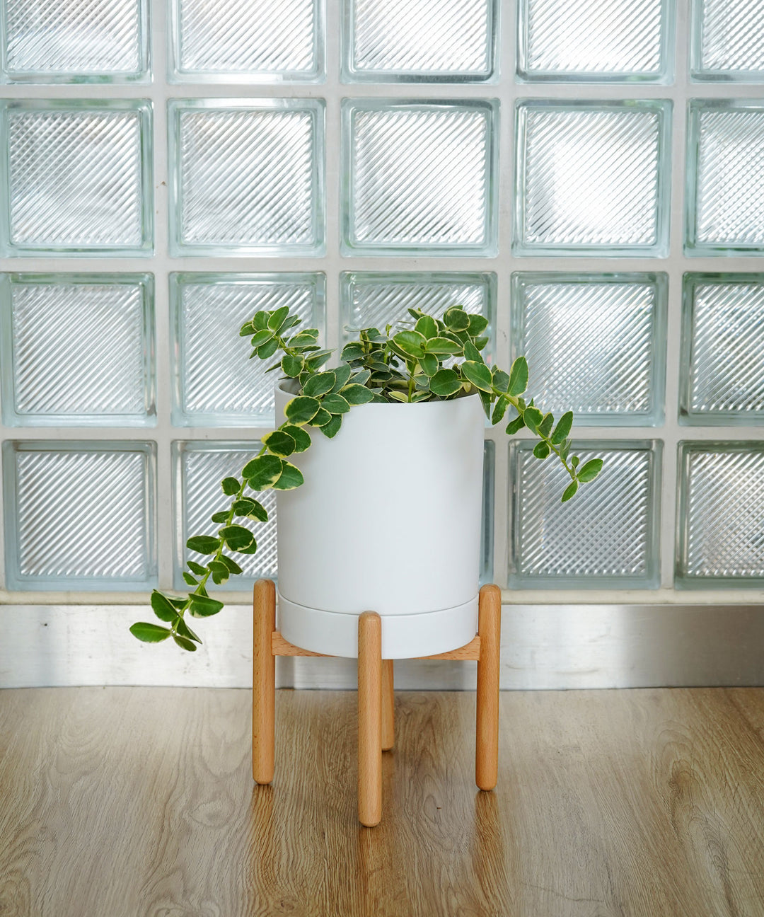 Work Plusワークプラス / オハナ ポット｜高さ調整可能でインテリアに