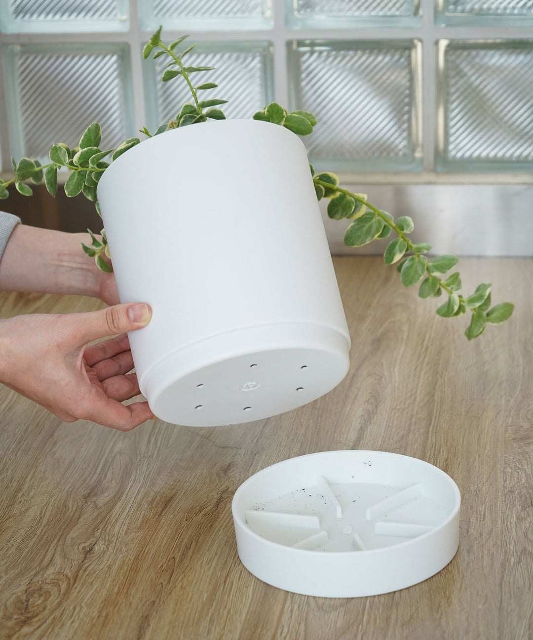 Work Plusワークプラス / オハナ ポット｜高さ調整可能でインテリアに