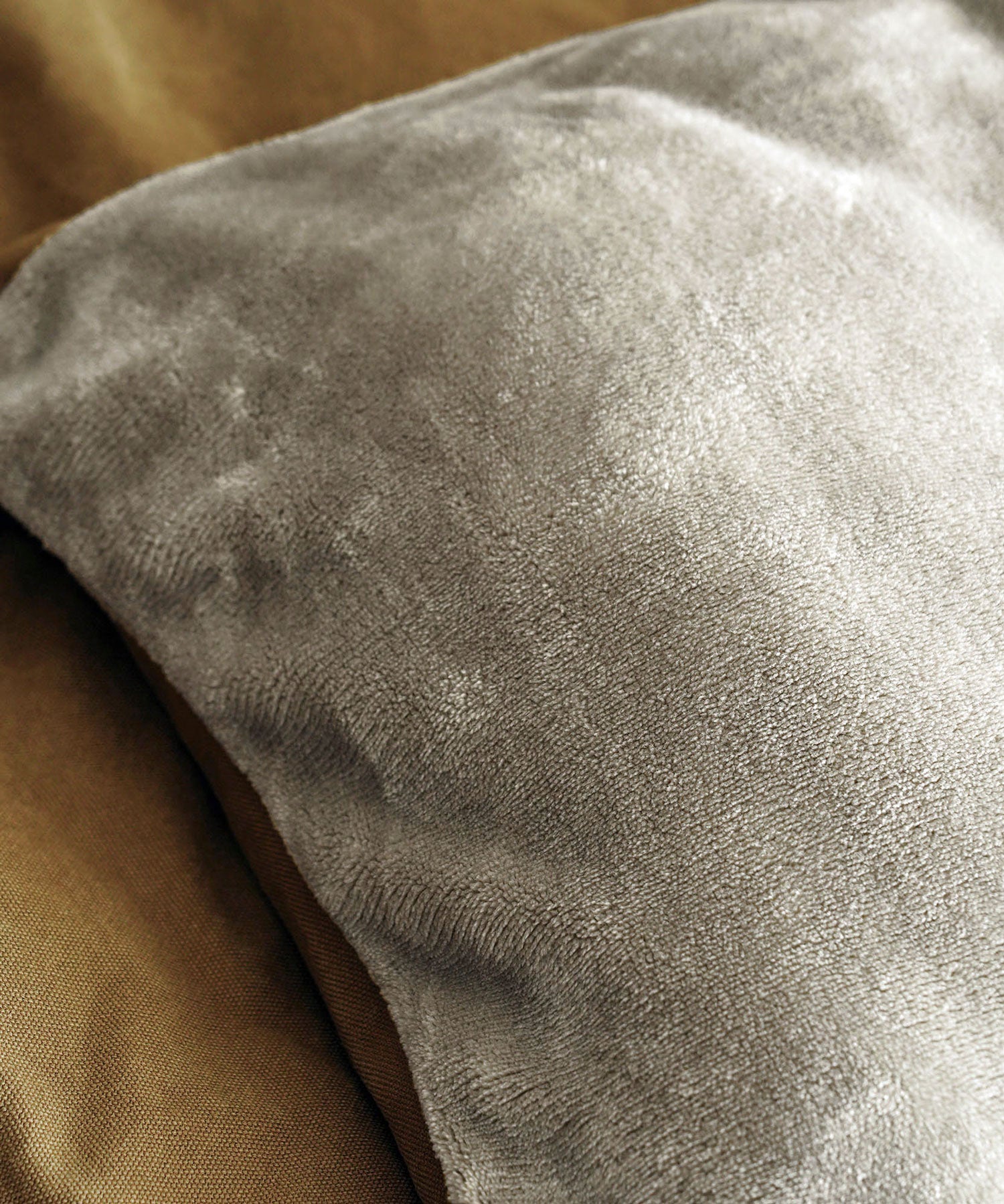 CANVAS BEIGE（裏面）