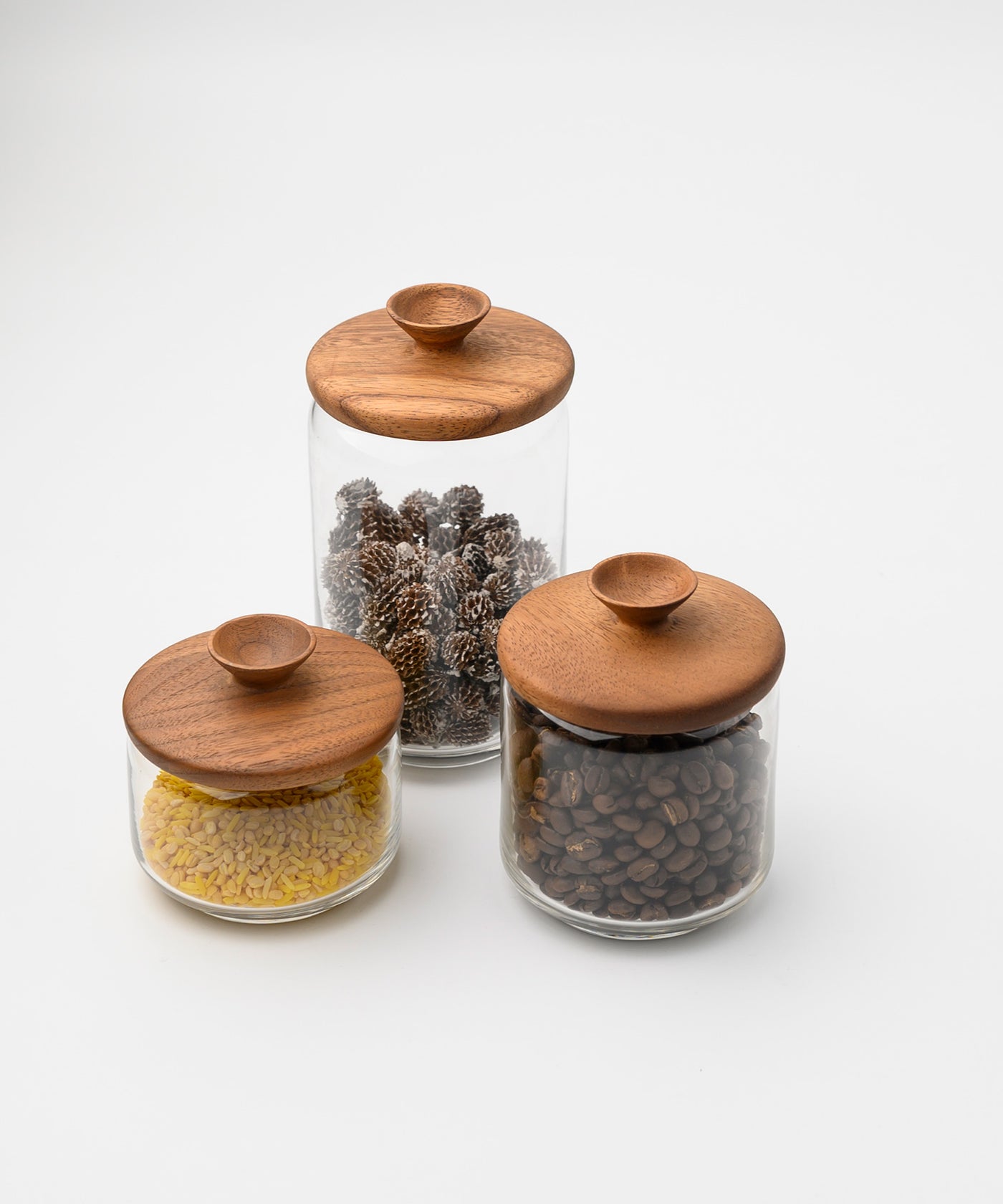 HIS スプラウトジャー