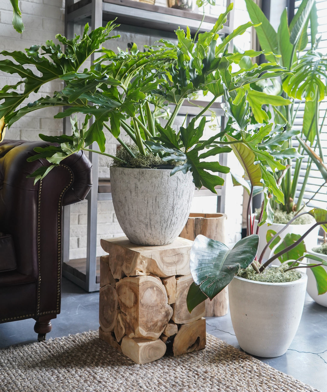 dareels（ダリールズ）TOOR STOOL｜独創的でエコロジカルなチーク古材