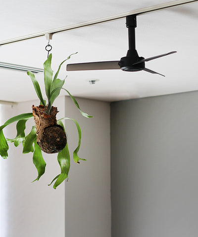 DUCT RAIL FAN DC basic
