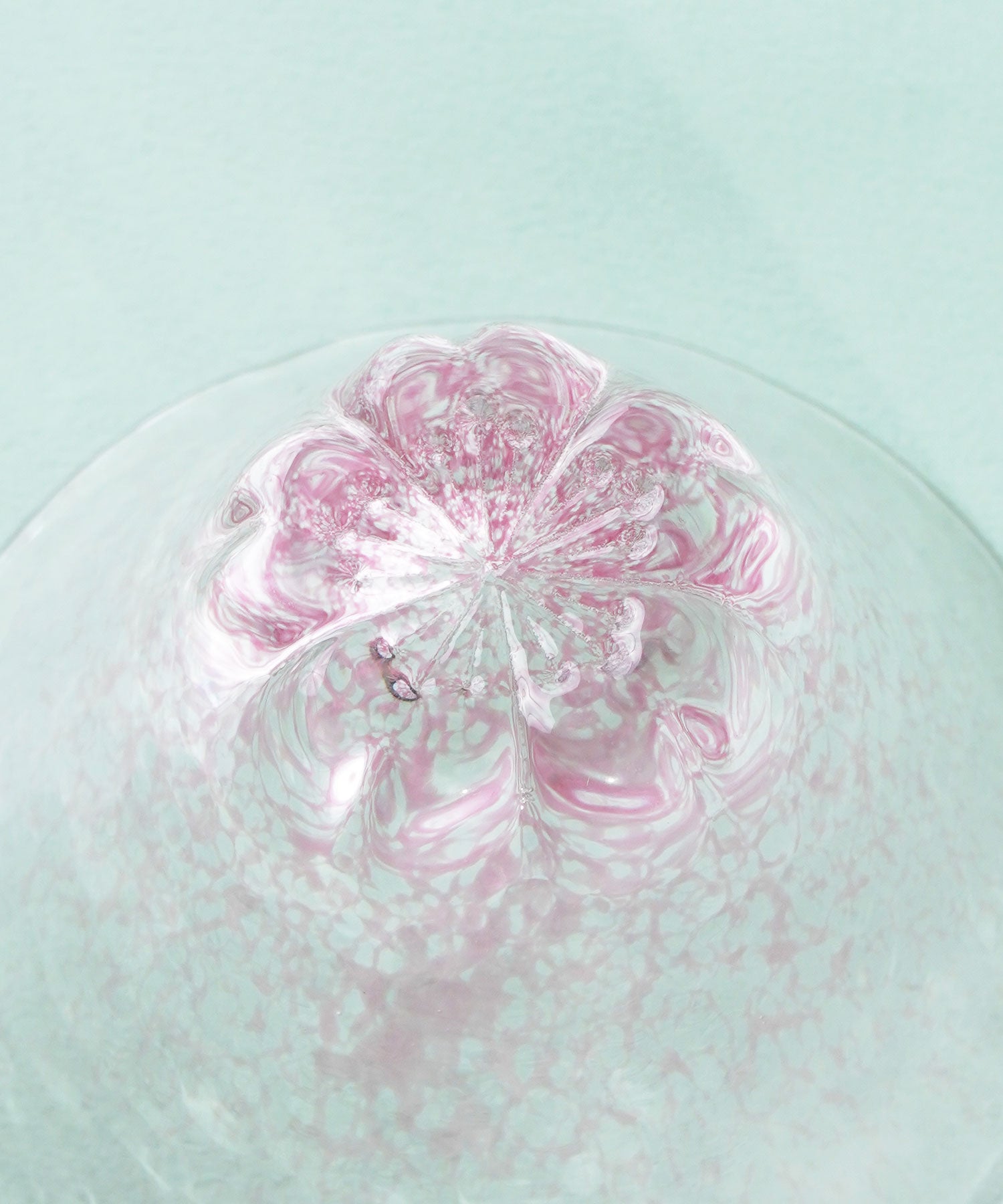 富士見さくら 祝福杯