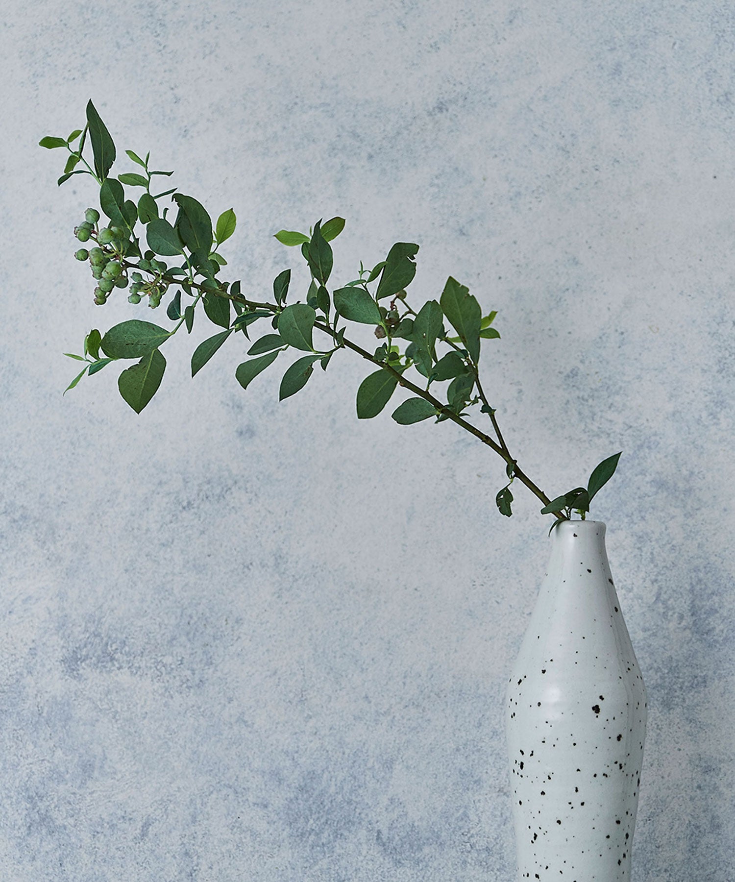 信楽焼 イオンボトル（ダイヤ）