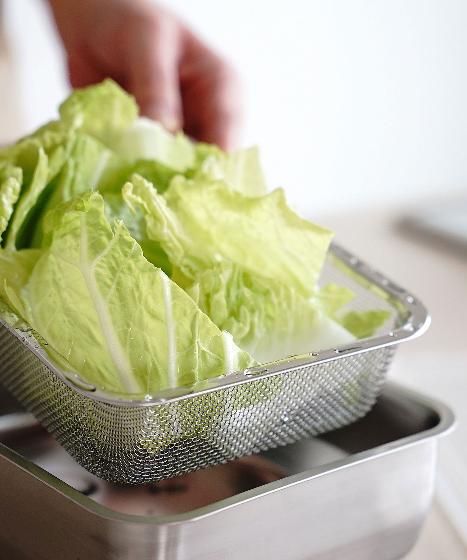 システムバット (蓋つき)・下ごしらえ角ザル