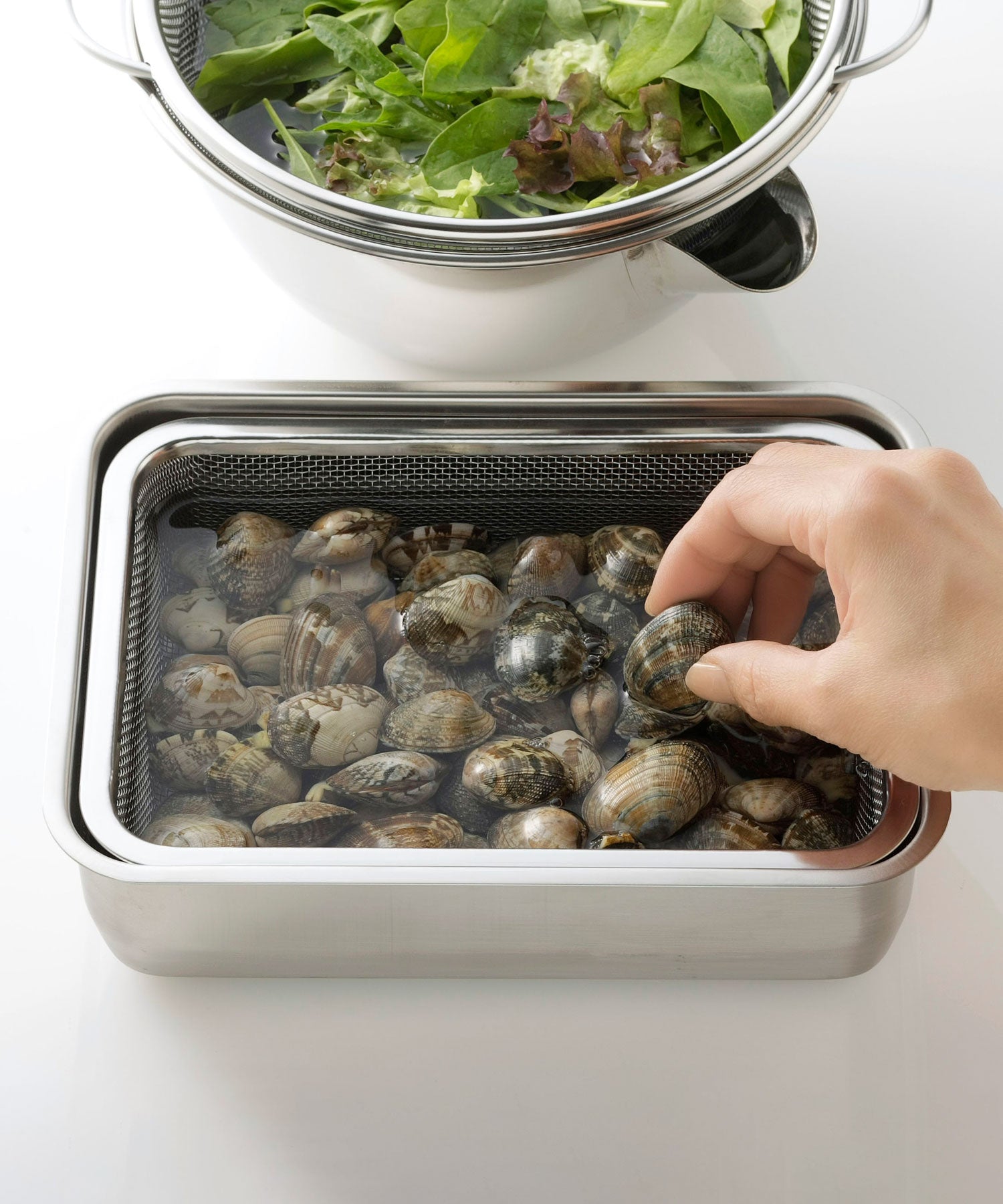 システムバット (蓋つき)・下ごしらえ角ザル