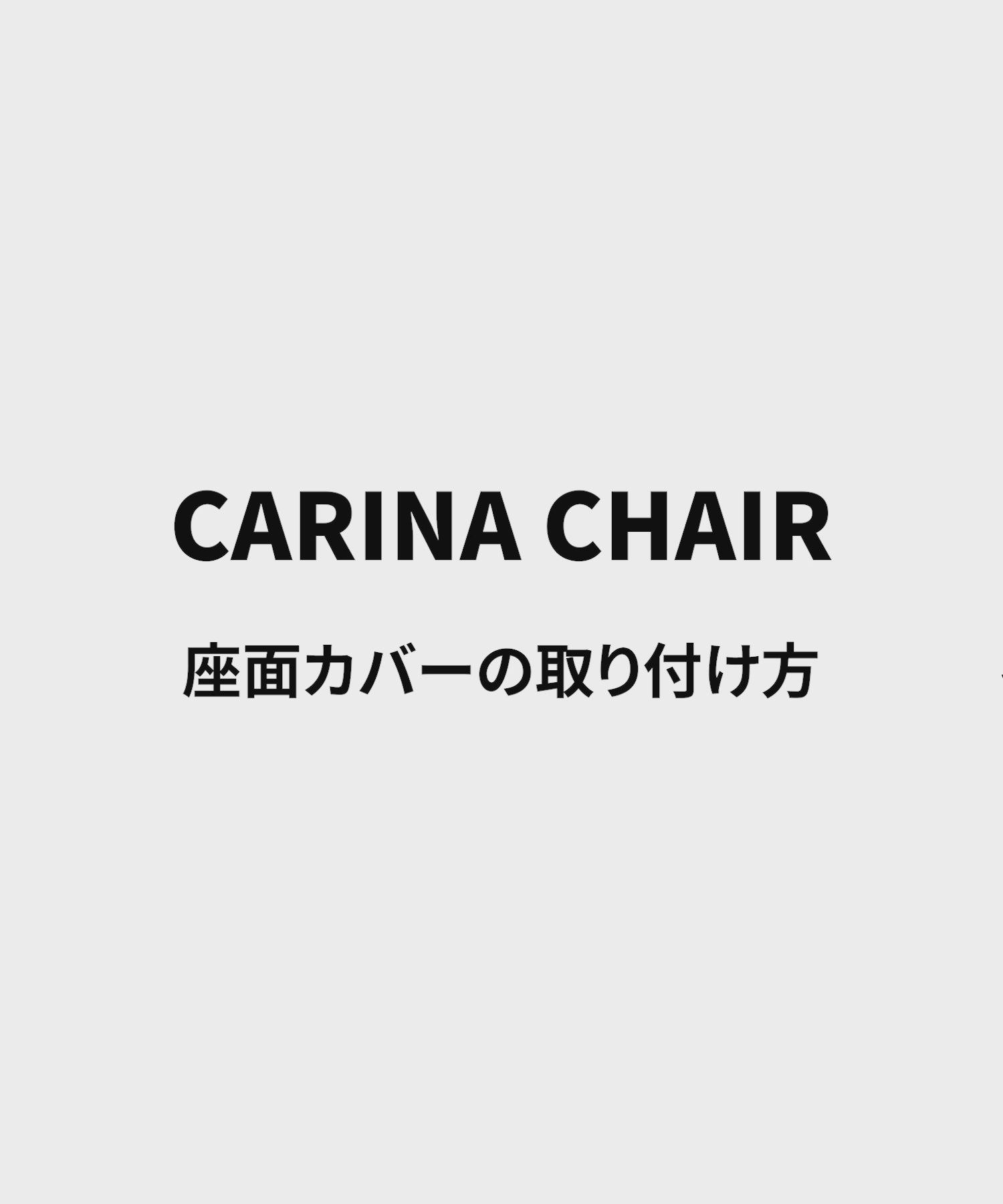 【カバーのみ】【数量限定】 CARINA CHAIR COVER