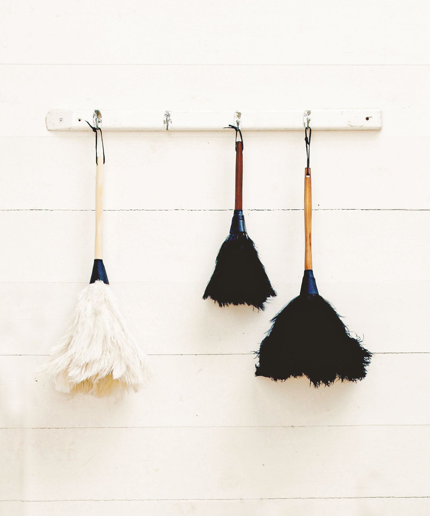 フェザーダスター