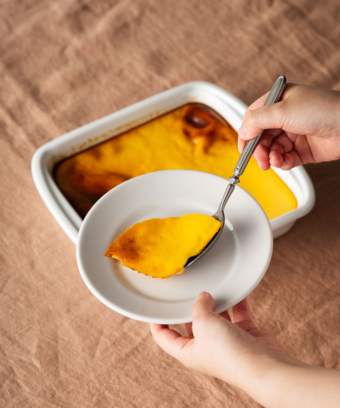 Saturnia チボリ プレート - イタリアの食卓を彩るシンプルで万能な