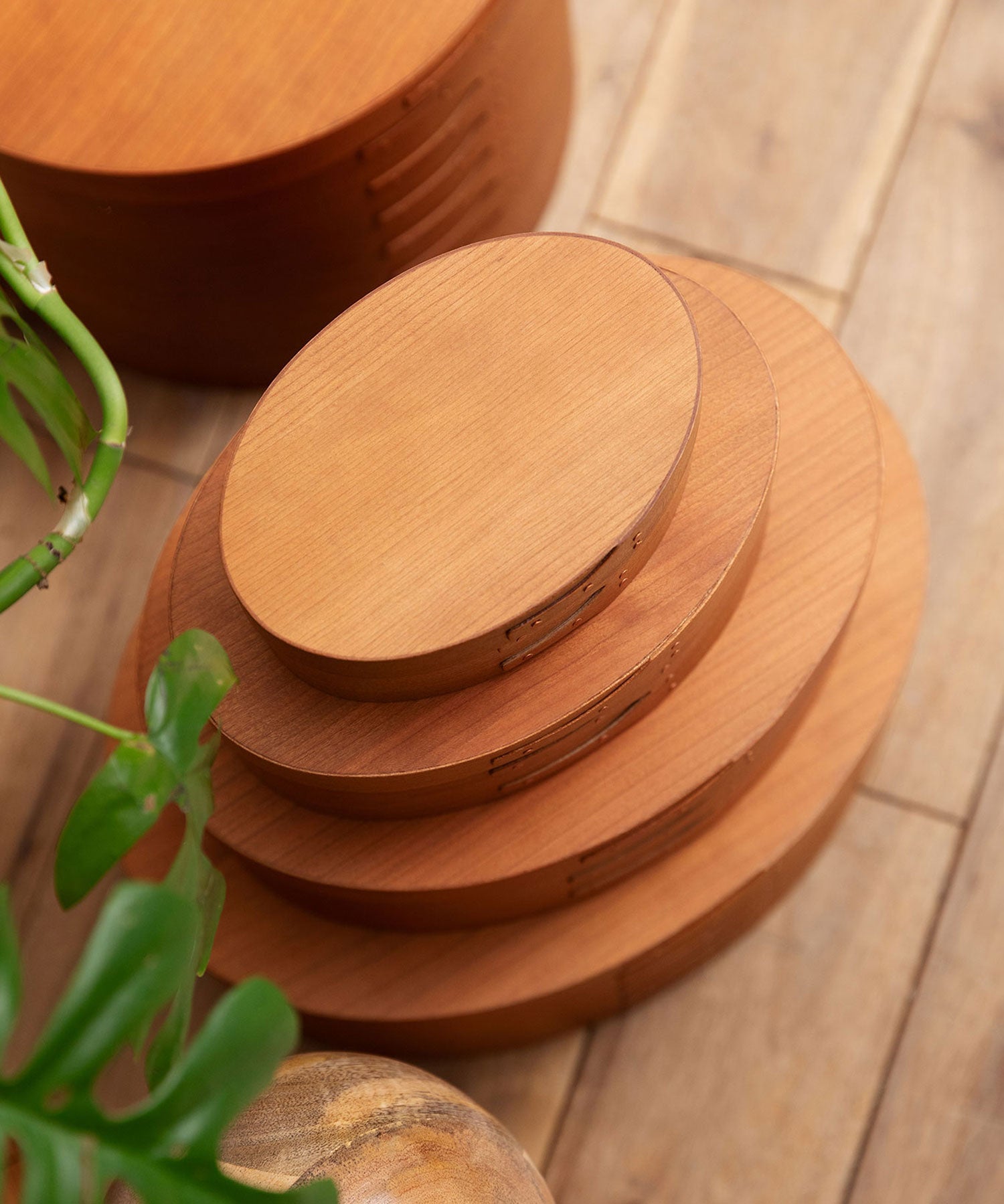 オーバル型 シェーカーボックス