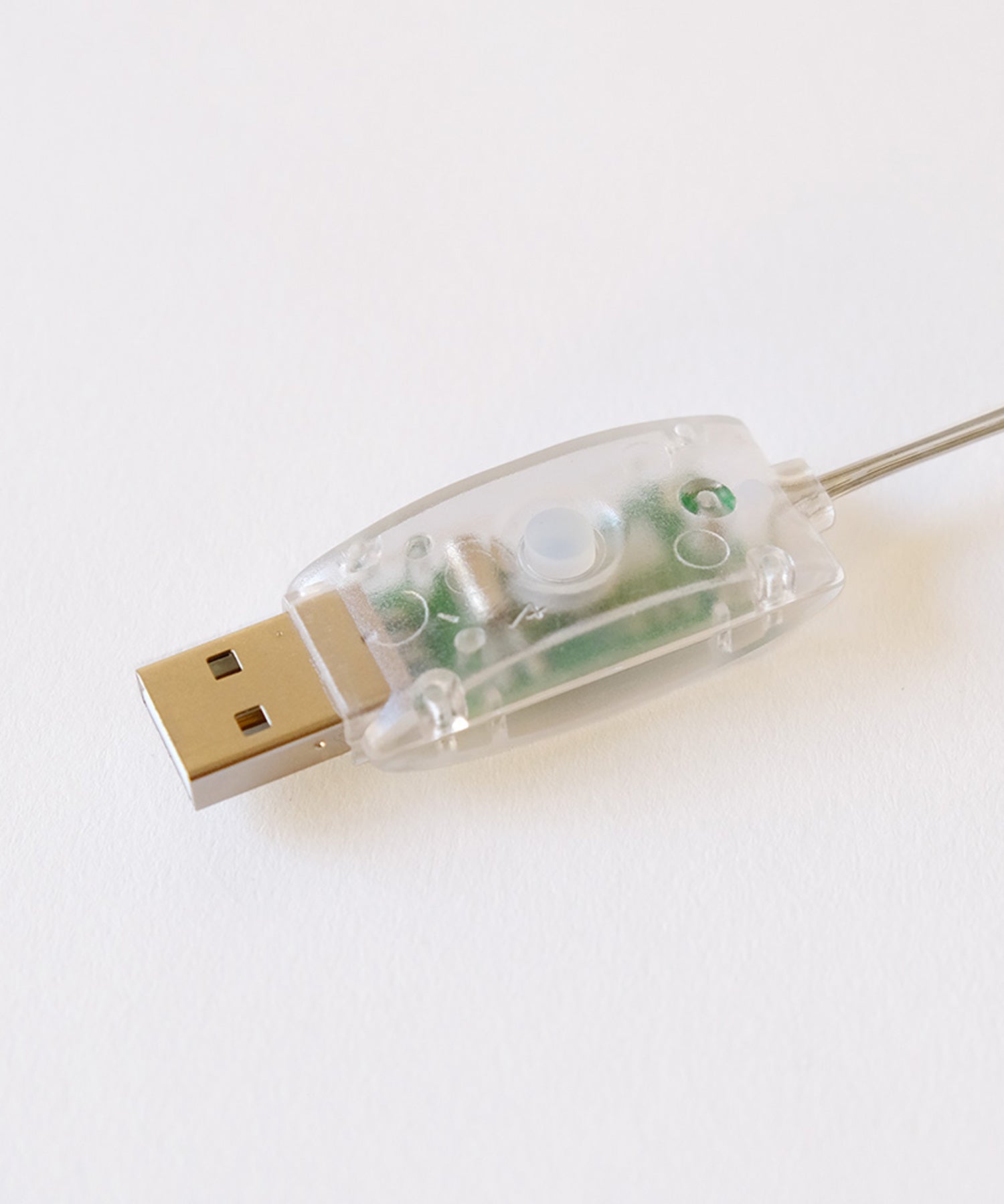 枝のLEDデコレーションライト グロート