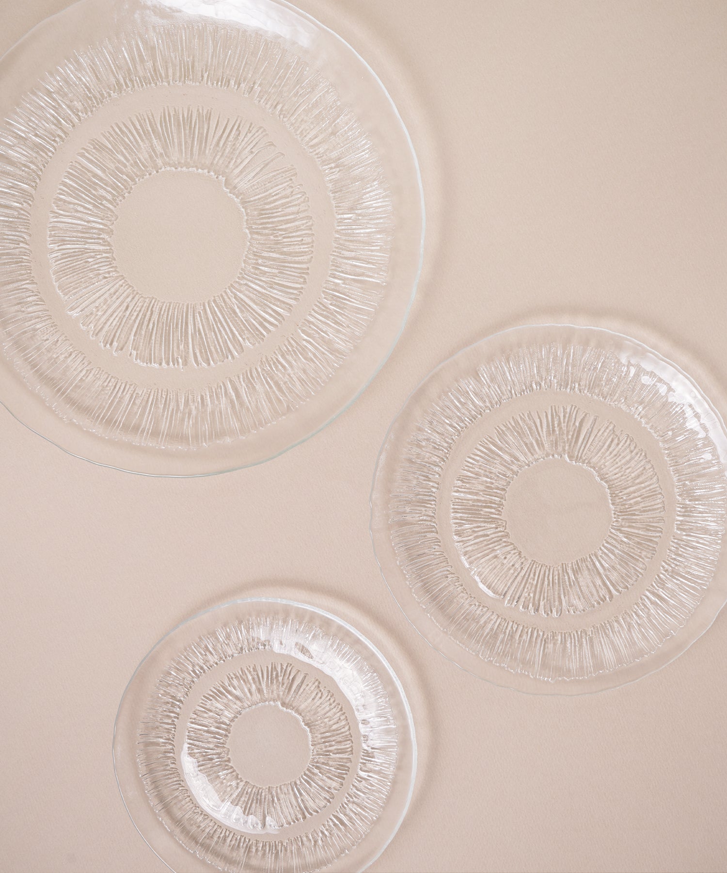 ポルチーニ プレート