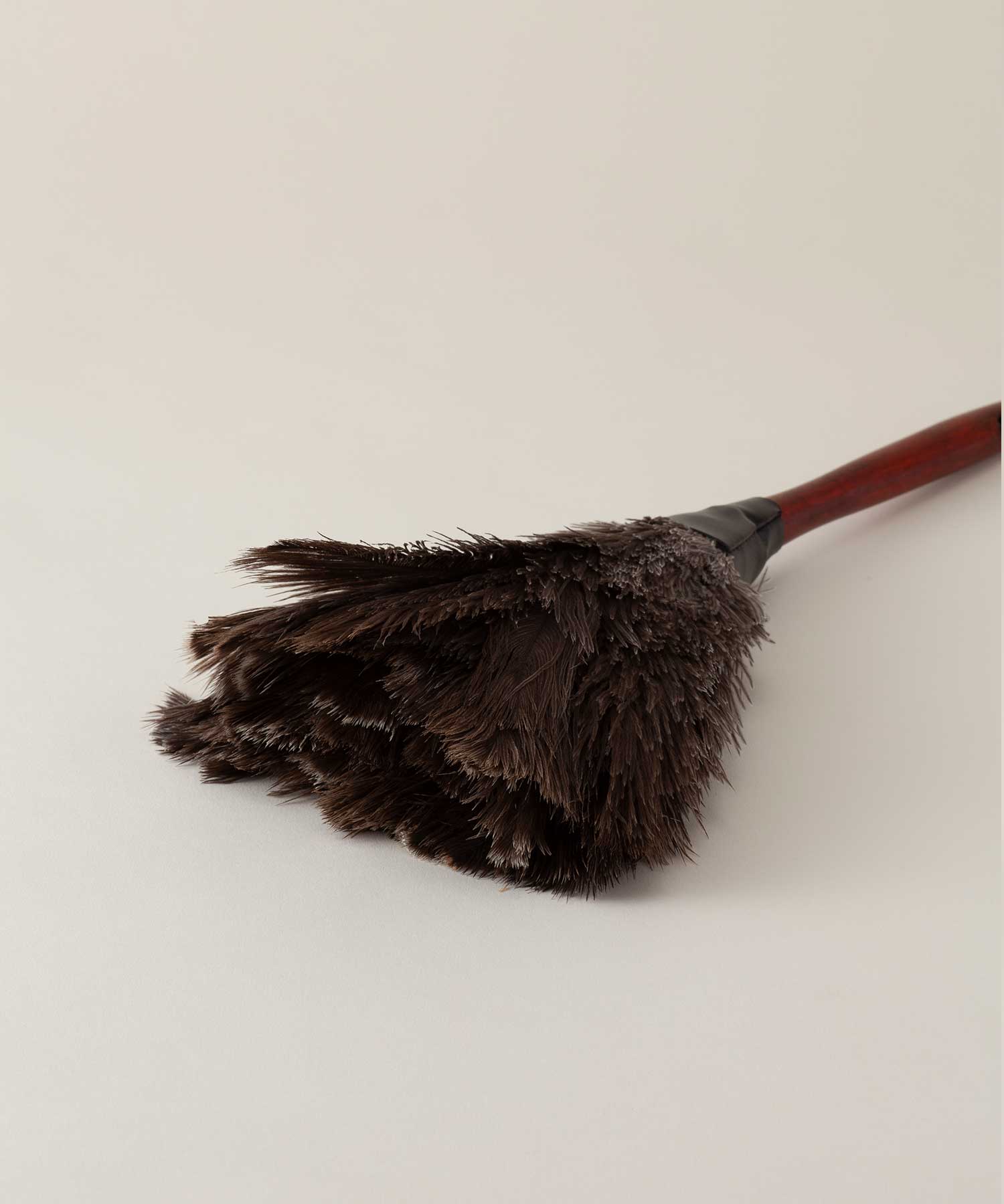 フェザーダスター