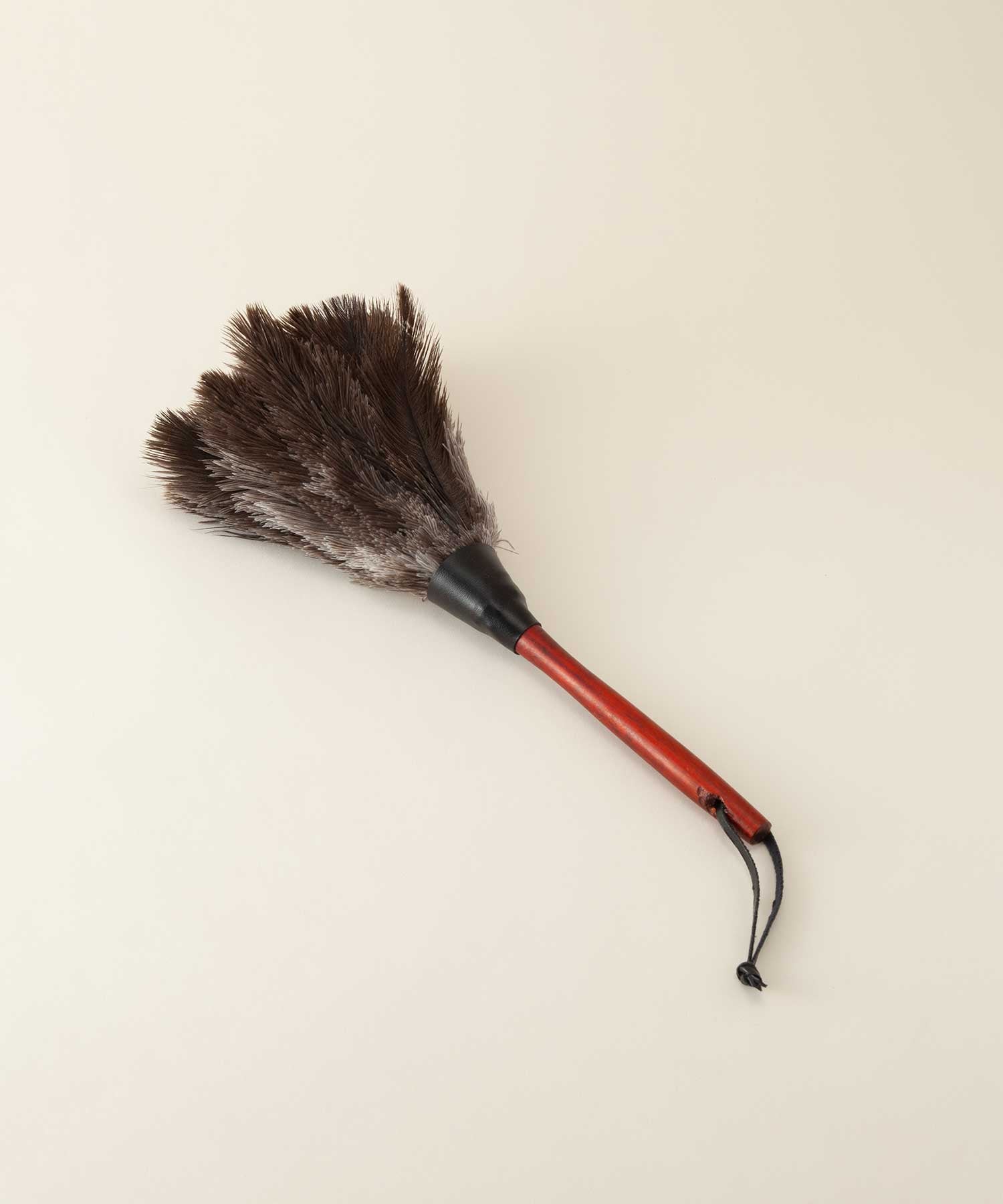 フェザーダスター