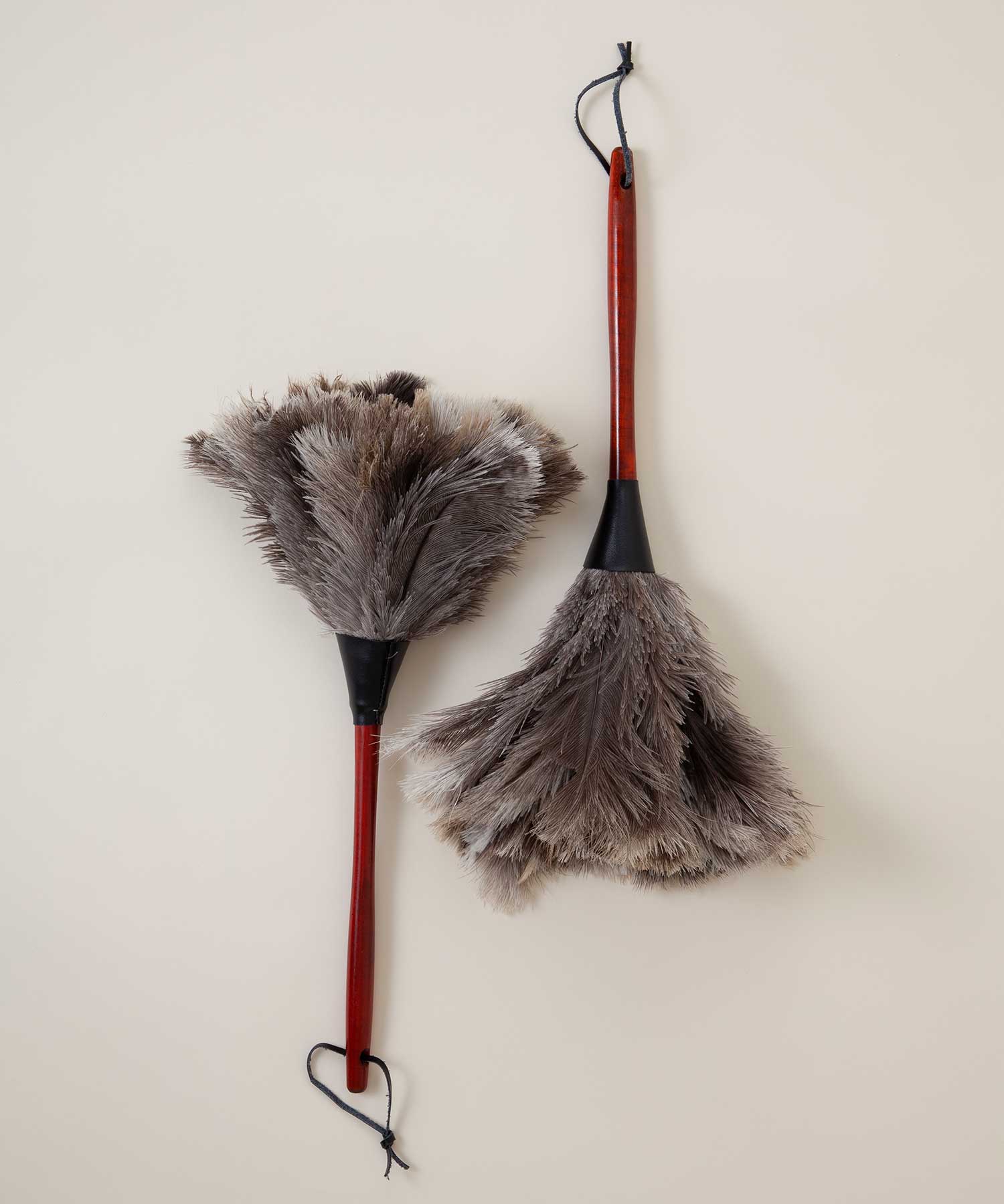 フェザーダスター