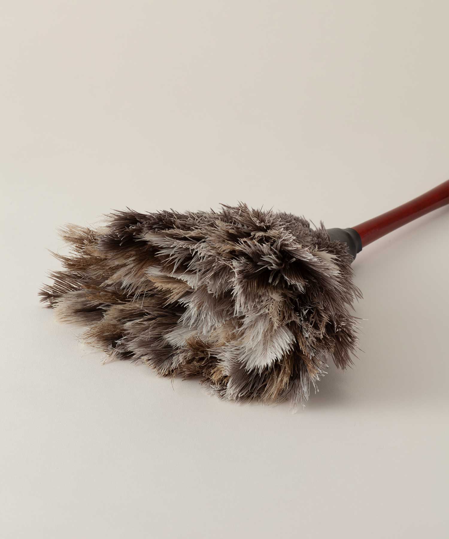 フェザーダスター