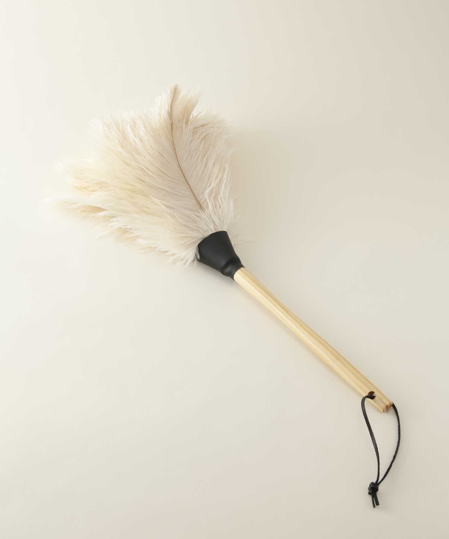 フェザーダスター