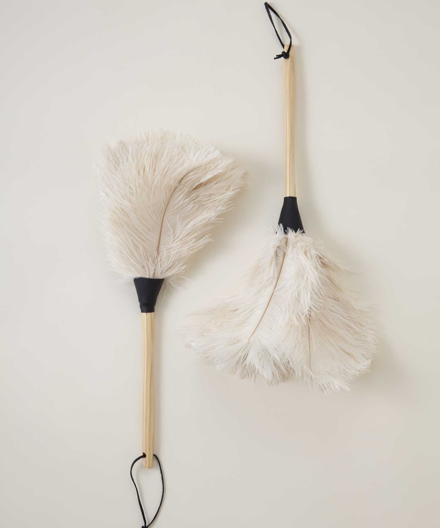 フェザーダスター