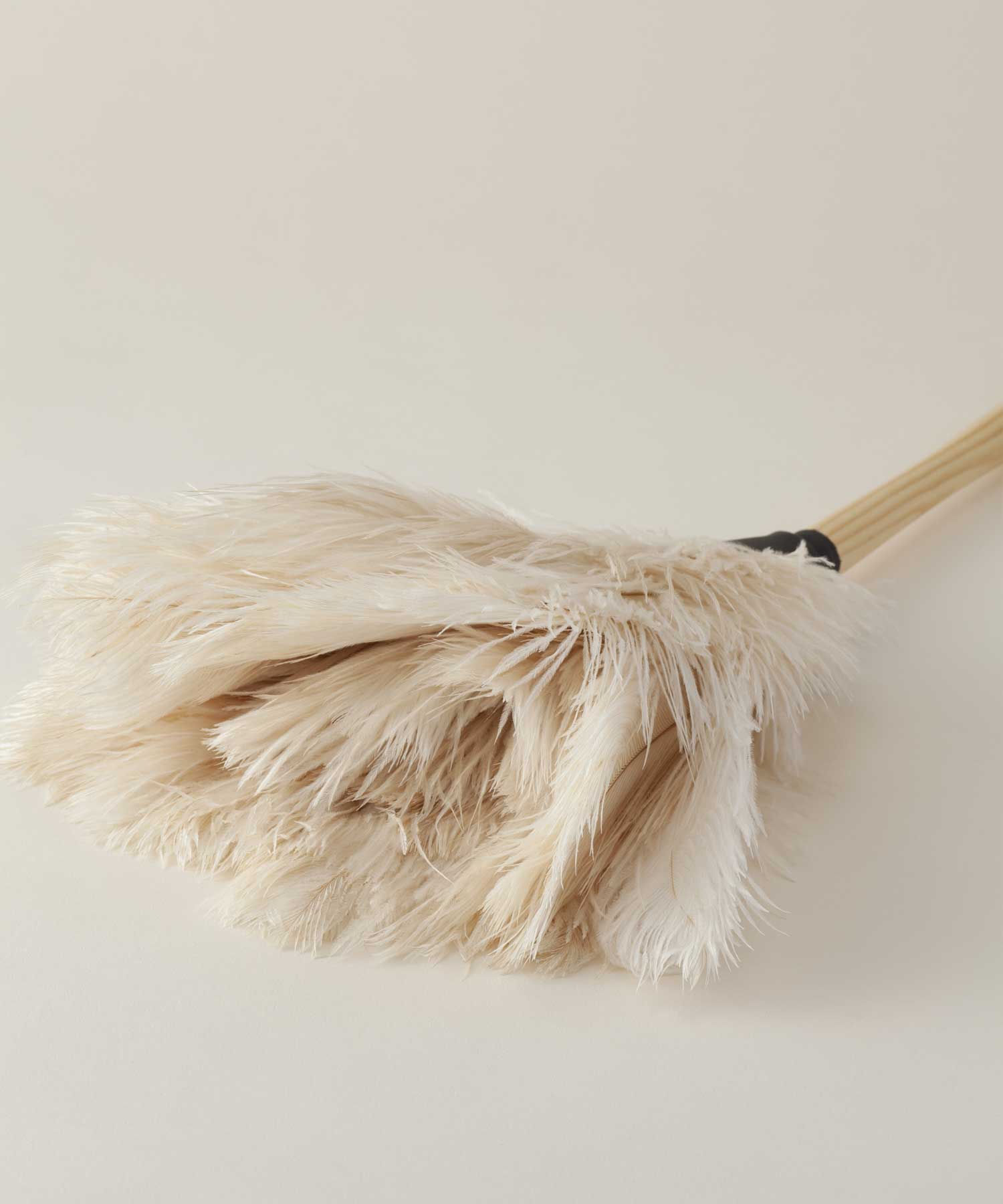 フェザーダスター